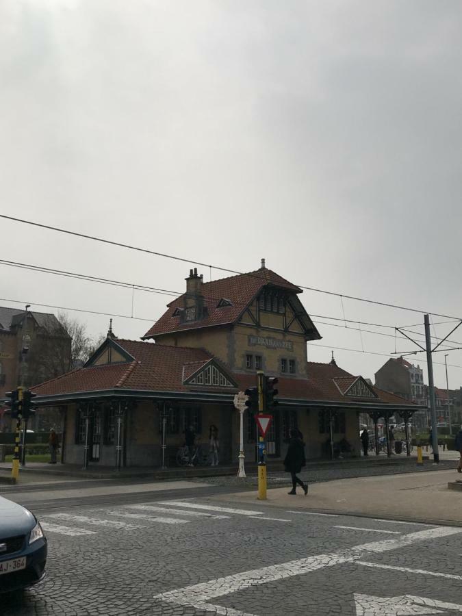 Zee Vakantievilla Begijnhof 5 De Haan Nieuwmunster エクステリア 写真