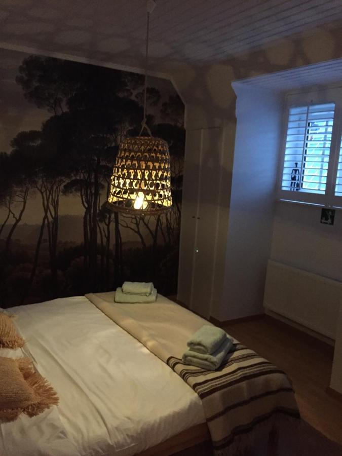 Zee Vakantievilla Begijnhof 5 De Haan Nieuwmunster エクステリア 写真